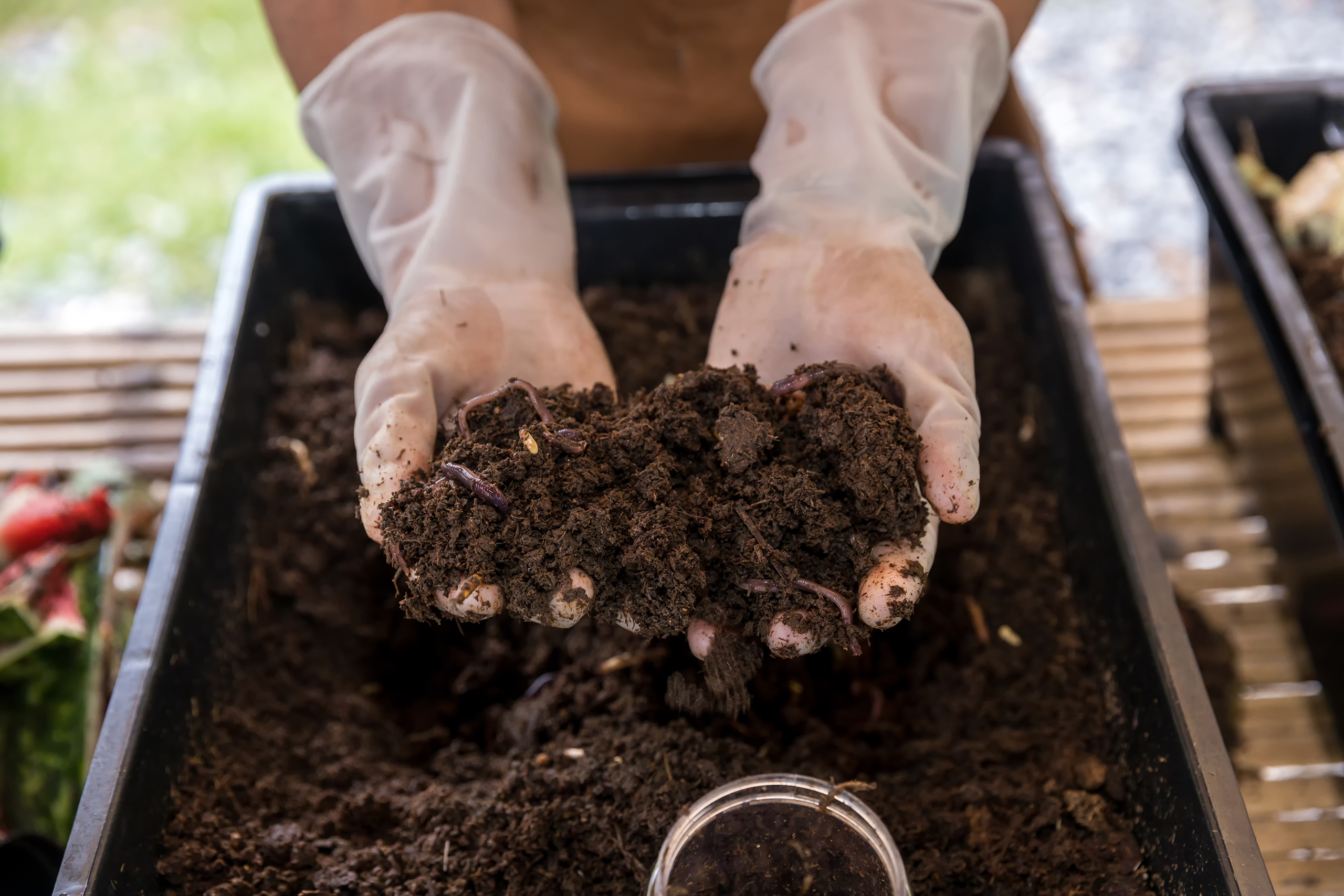 gloved hands scooping compost out of a bin